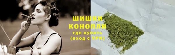PSILOCYBIN Елабуга