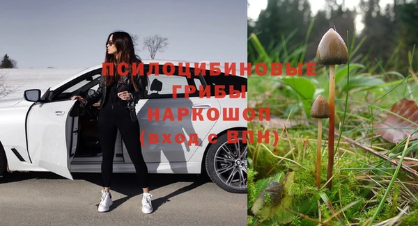 гашик Щигры