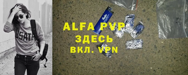 PSILOCYBIN Елабуга