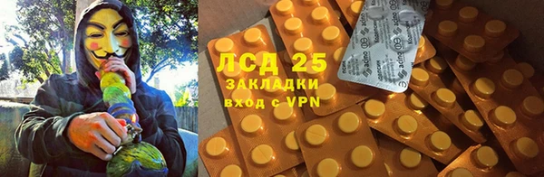 PSILOCYBIN Елабуга